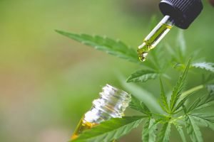 cbd oil benefits