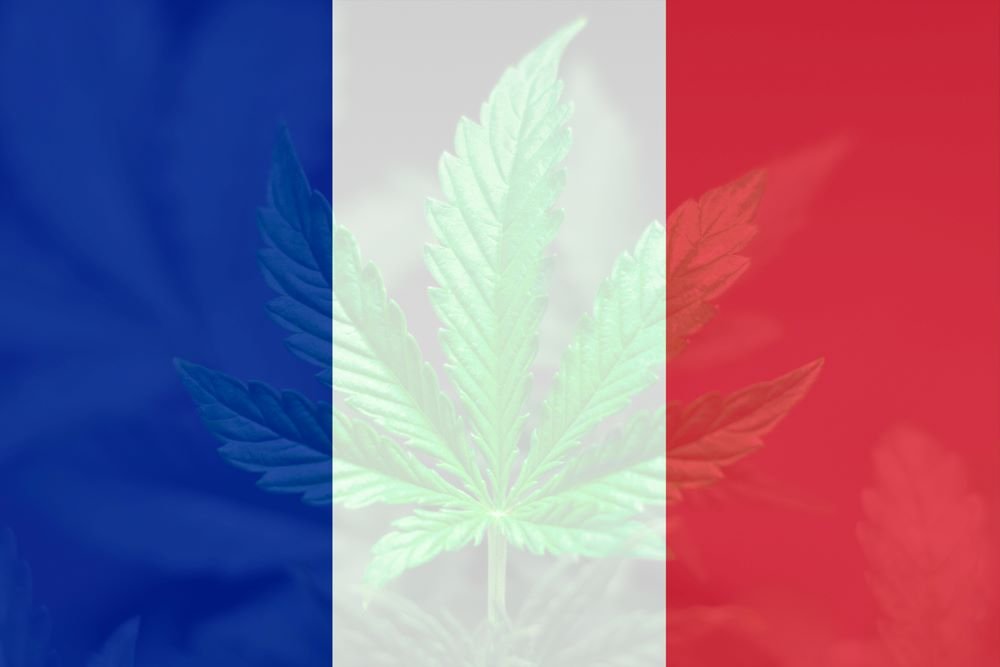 français dépénalisation cannabis